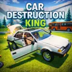 Car Destruction King