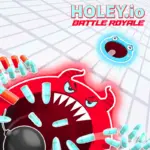 Holey io