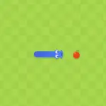 Snake Game